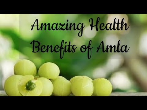 Amla Health Benefit for Your Everyday Healthy Life