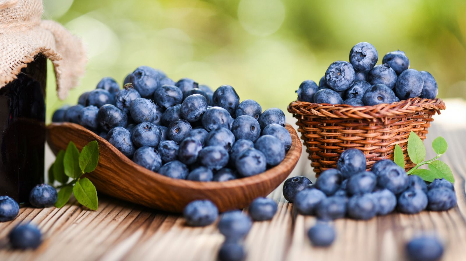 Blueberries: What You Need To Know