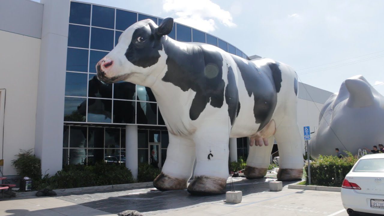 From Pool Floats to Large Balloons: The Lots of Works by using of Inflatable Animals