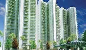 Discover Tranquil Luxury: 2 & 3BHK Flats in Sector 80, Gurgaon