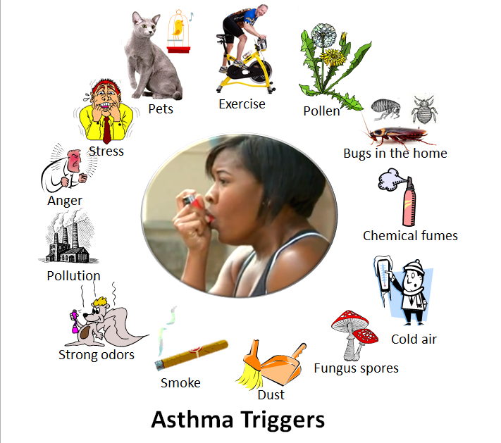 Asthma Causes And Risk Factors