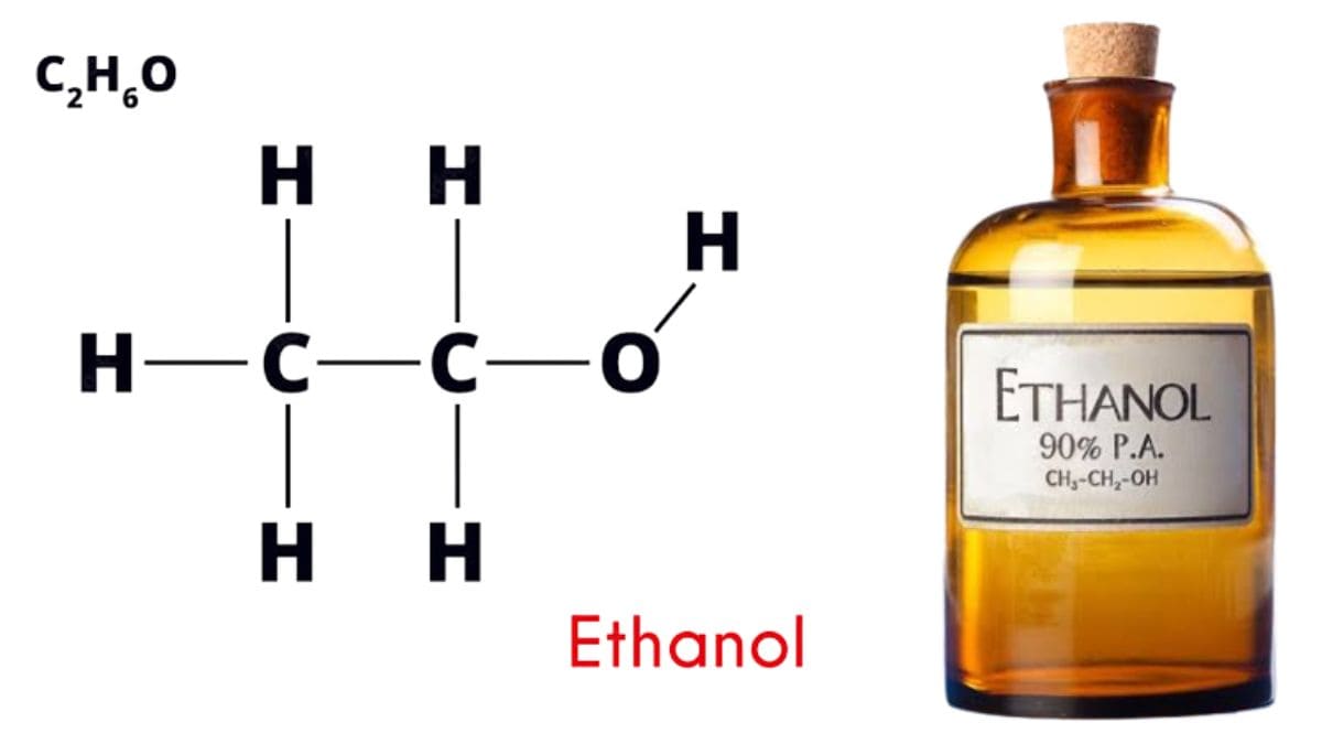 Project Report: Setting up a Ethanol Manufacturing Plant