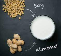 THE MEDICAL ADVANTAGES OF NUTS MILK EVERY DAY ARE VARIOUS
