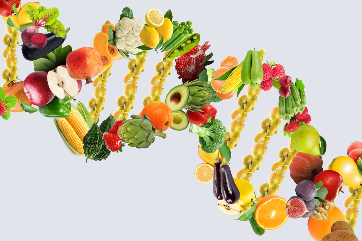Unraveling the Potential of Epigenetic Diet Optimization for Optimal Health