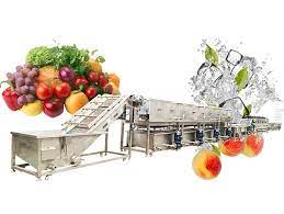 Vegetables Processing Line Market 2023 Industry Trends, Segmentation, Latest Innovation, Sales Revenue by 2029|  Bigtem Makine , Allround Vegetable Processing , POLLAK SALA , Sormac BV