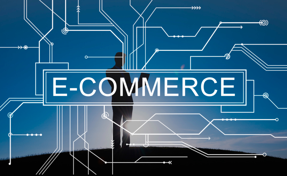 E-Commerce Success Strategies: Thriving in a Rapidly Growing Sector