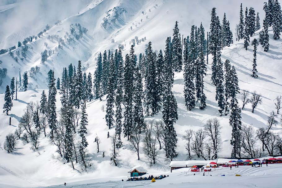 The Wonders of Kashmir: A Land of Splendid Diversity