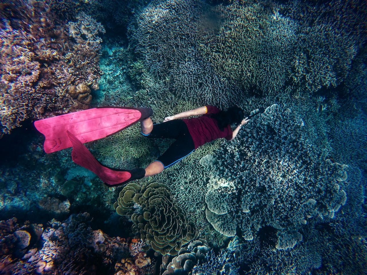 Dive and Document: The Underwater Photography Experience in Dubai