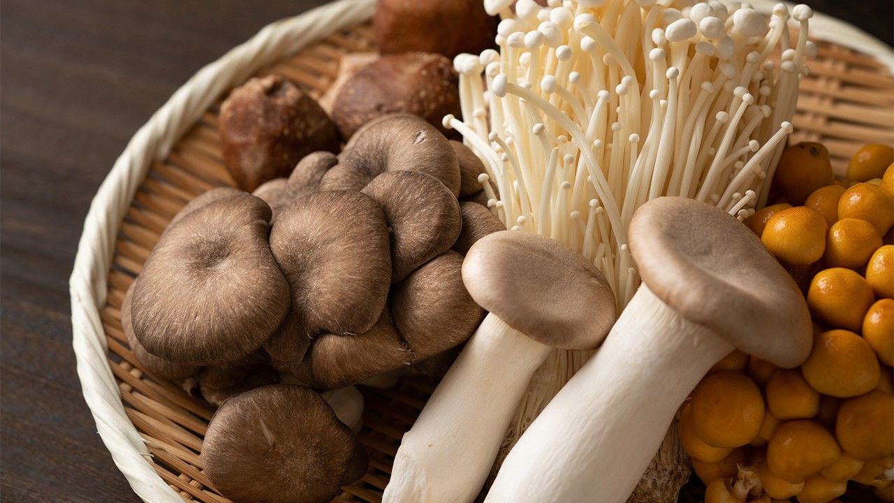 Japan Mushroom Market Size, Share, Growth Analysis, Trends 2023-2028