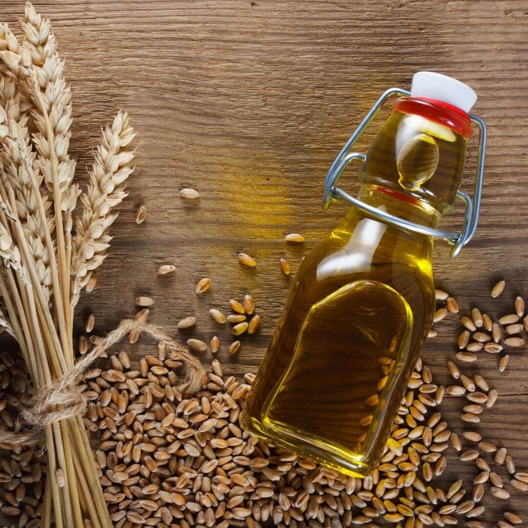 Wheat Germ Oil Market Size, Share Analysis, Growth, Trends 2023-2028