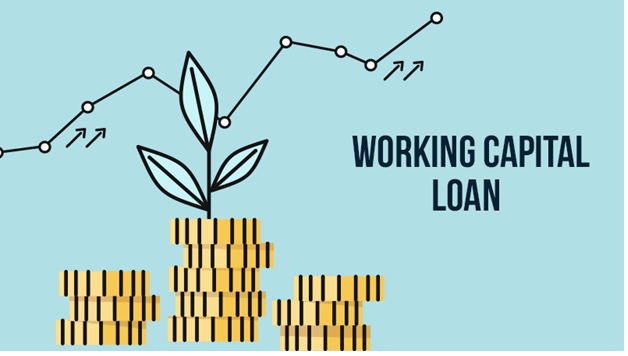 Working Capital Loans for Startups