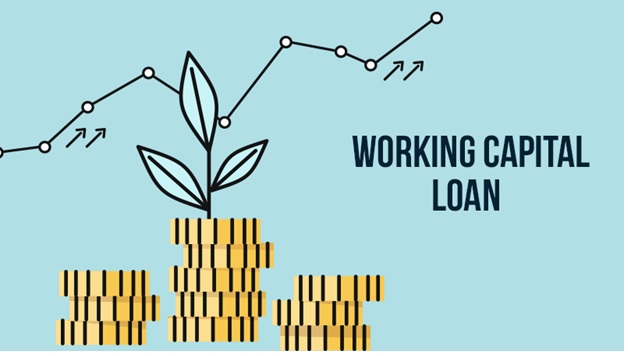 How Working Capital Loans Empower Startups