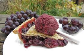 Delicious Homemade Concord Grape Pie Recipe